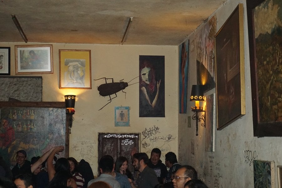 Having drinks at the Cockroach dive bar is one of the best things to do in San Miguel de Allende