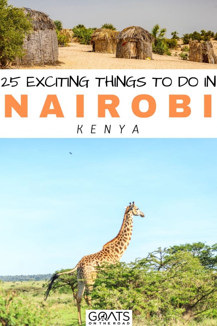 Are you heading to Kenya’s capital for a great outdoor adventure? Here are the 25 Exciting Things To Do in Nairobi, Kenya—from its amazing city full of art, culture, incredible nature and great activities! So, here are a few ideas for all the things to do in Nairobi. | #travel #nairobi #safari