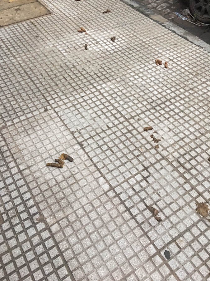 living in buenos aires dog poop