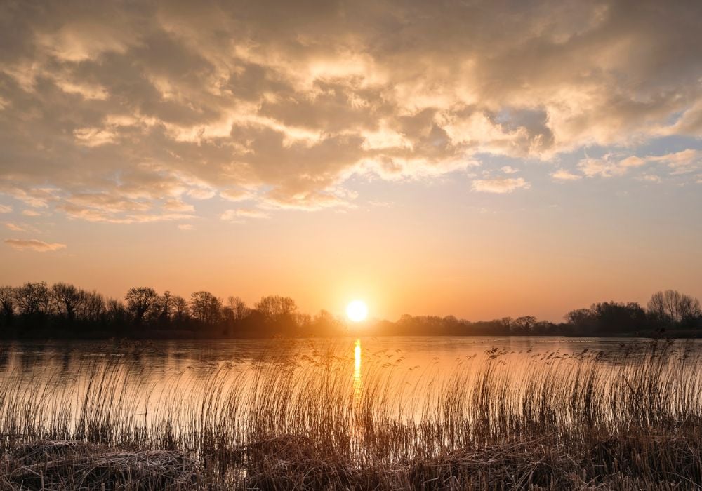 sunset over a lake in the cotswolds with reeds on the shoreline and clouds in the sky.