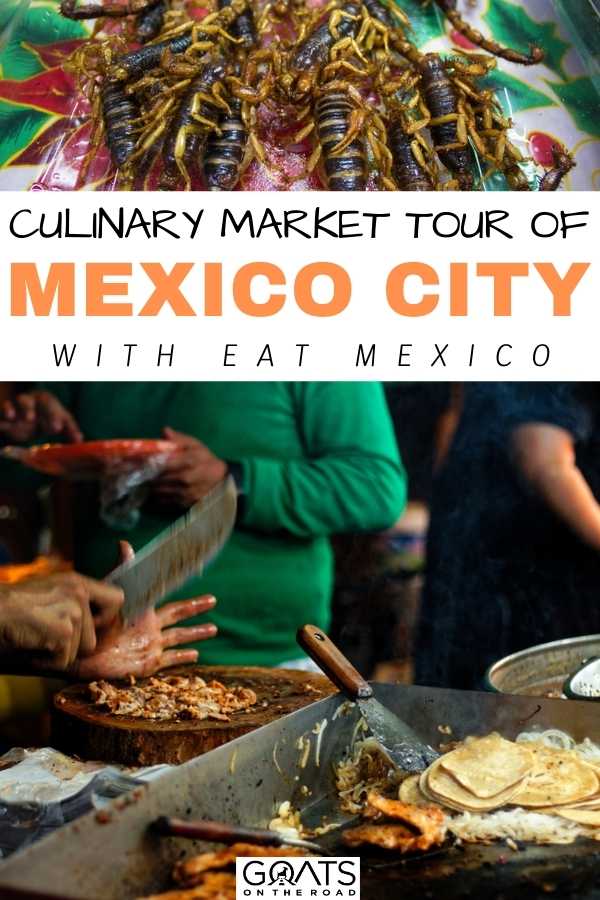 “Culinary Market Tour Of Mexico City