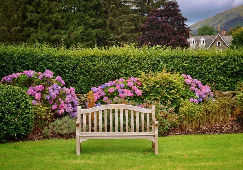 english bench with flowers and hedges in the cotswolds