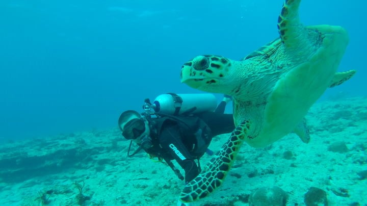 scuba diving isla mujeres