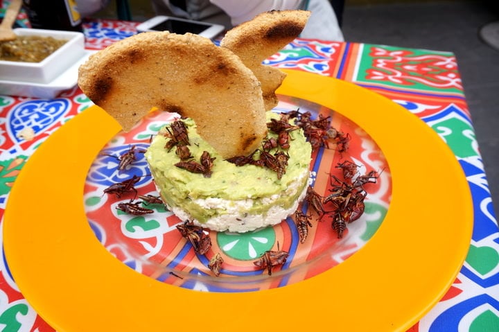 Grasshoppers & Cream Cheese... An Appetizer You May Not Find At Home.