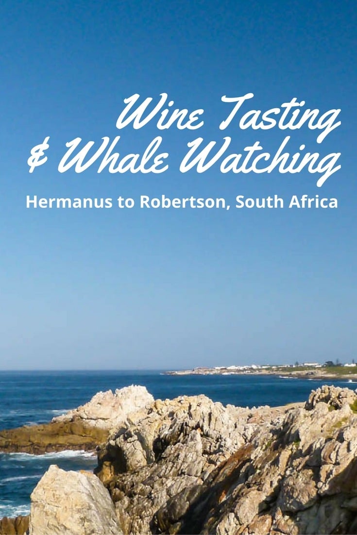 Hermanus to Robertson, South Africa - Wine Tasting & Whale Watching