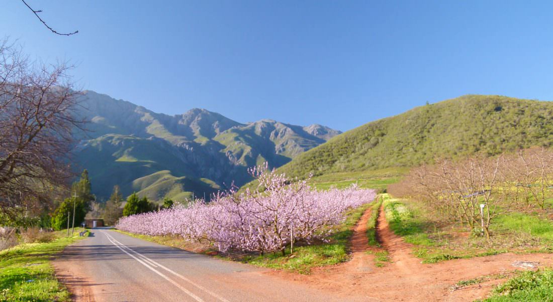safety tips for a south african road trip