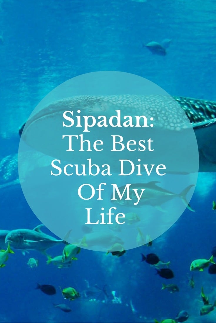 Sipadan: The Best Scuba Dive Of My Life