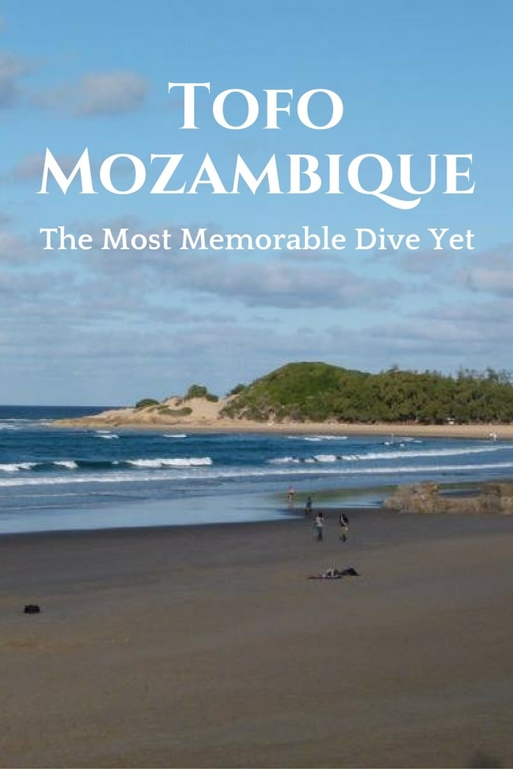 Tofo, Mozambique - The Most Memorable Dive Yet