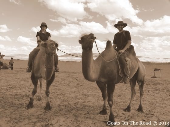 camel riding in mongolia